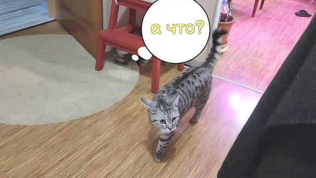 Спасайся, кто может! смотреть онлайн
