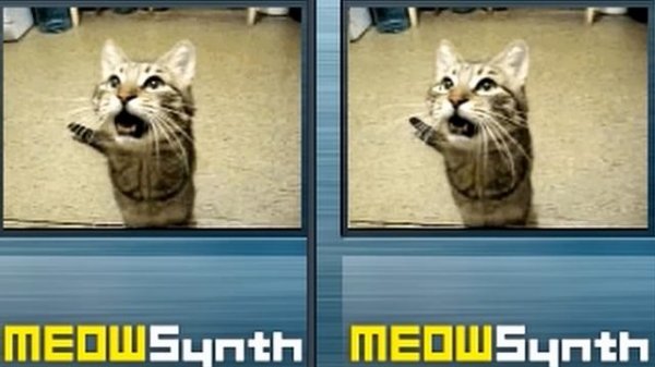 (MeowSynth) Virtual Insanity