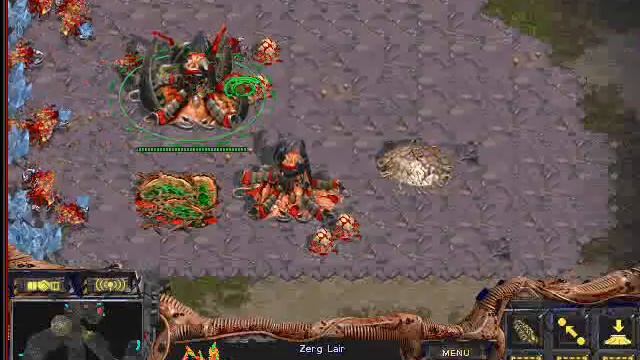 Starcraft Brood War [FPVOD] K1nkreet-зерг, урок 3 (стандартная игра ZvT)