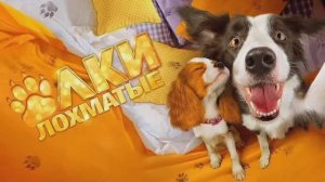 Елки лохматые(2016)
трейлер