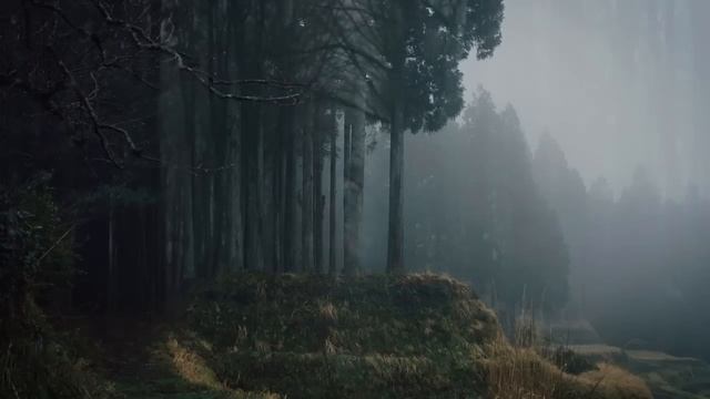Если подходит время болеть и умирать. Игумен Никон Воробьев. смотреть онлайн