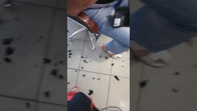 Самое страшное, что так думают не обычный боевик или контрактник молодой. Так думаю все служащие. смотреть онлайн