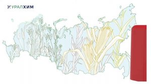 Линейка водорастворимых удобрений Solar от Группы "Уралхим"