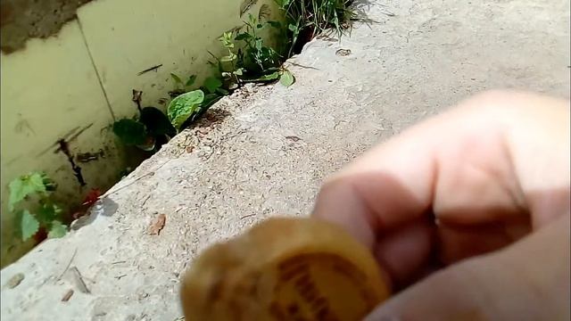 Бутылка Vs Кувалда Краш тест смотреть онлайн