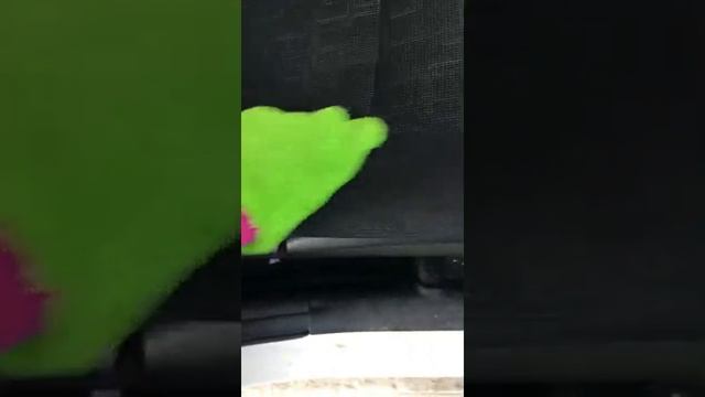 Как быстро убрать шерсть в машине и почистить ткань без химии.