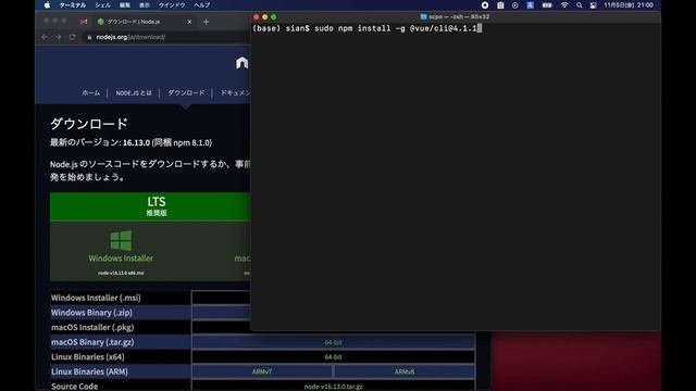【プログラミング環境構築】npm(Node.js)とvue/cliのインストール方法 смотреть онлайн