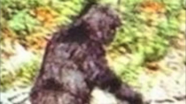 The Patterson Gimlin Film, "One Minute to film, 45 years to explain" смотреть онлайн