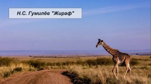 Н.С. Гумилёв "Жираф"