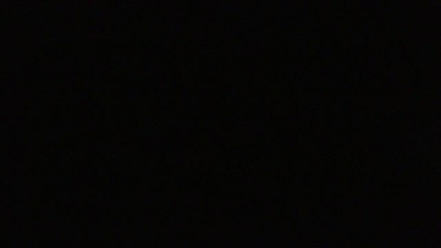 DS103 1 Lemon peony смотреть онлайн