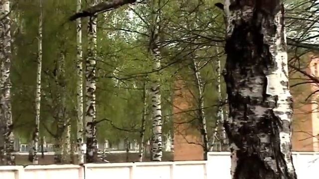 Мулино 2013 смотреть онлайн