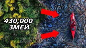 Самый Опасный Остров в Мире — Остров Змей