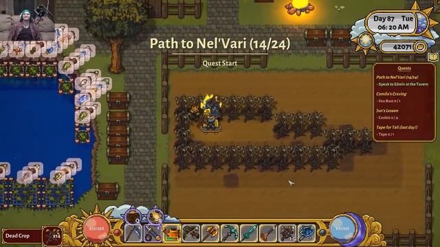 Sun Haven Path To Nel'Vari Quest Walkthrough смотреть онлайн