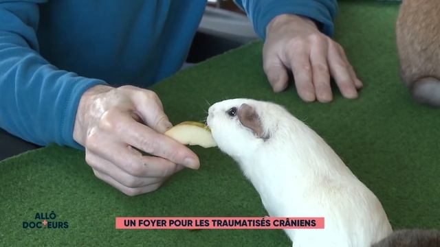 Vivre avec un traumatisme crânien смотреть онлайн