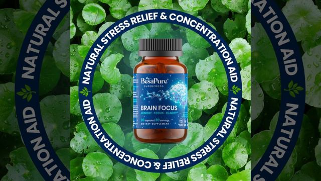 Brain Focus- Natural Stress Relief & Concentration Aid смотреть онлайн