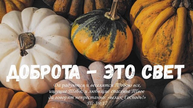 Христианский плейлист 03.11.2023 || Эльвира Семенчук смотреть онлайн