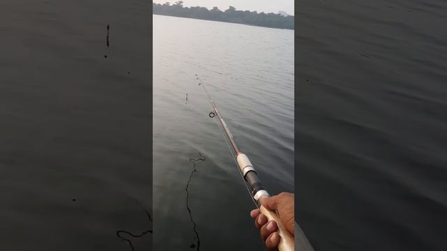 How to play 3 hook fishing смотреть онлайн