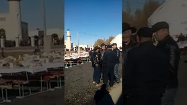 20 ноября 2017 г. смотреть онлайн
