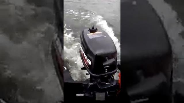 Лодочный мотор TOYAMA T5BMS 5 л.с. Завод Parsun.