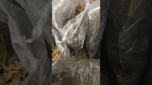 Готовлю запарочки для баньки) смотреть онлайн