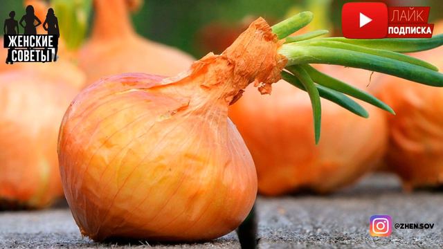 Если Есть Лук Каждый День - Смотрите, Что с Вами Случится!