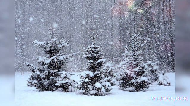 #николаймакурин #гармонь #троицкое #рек #юрашатунов #ласковыймай смотреть онлайн