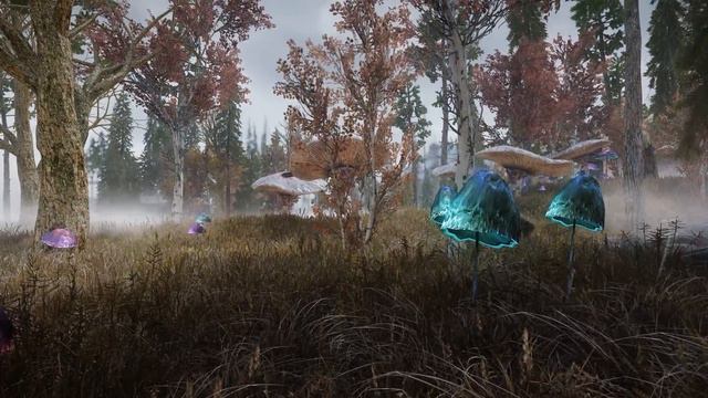 Skyrim SE Mods: A Fantasy Forest Overhaul for Skyrim 3D Trees смотреть онлайн