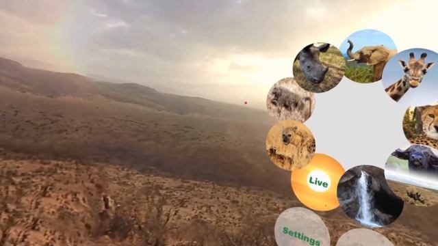 VR Experience Spotlight - Virry Safari: Wild Encounters смотреть онлайн