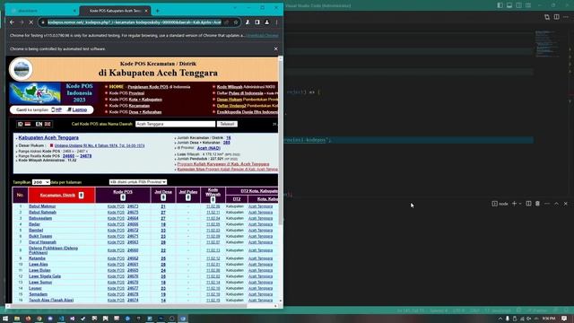 Indonesian Postal Code - Web Scrapping Node JS Puppeteer смотреть онлайн