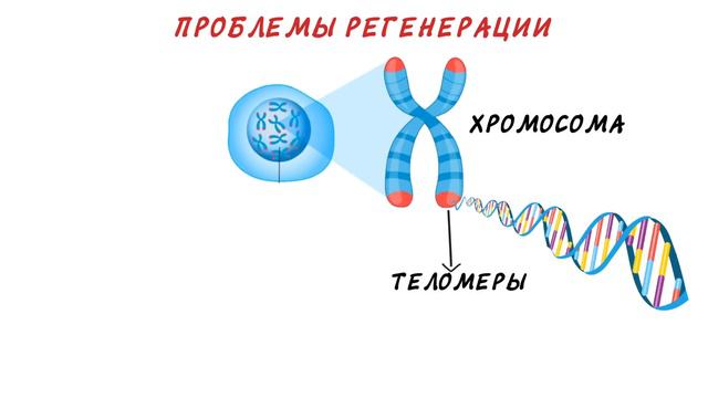 Почему мы не живем 150 лет? смотреть онлайн