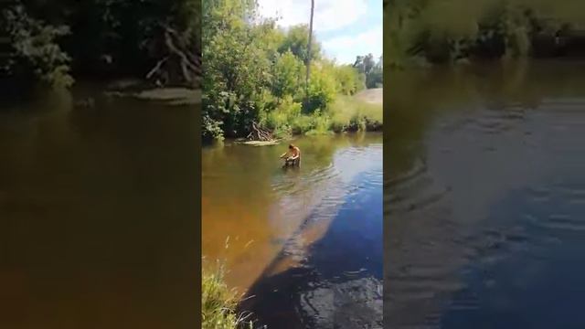 Переехал речку на велосипеде смотреть онлайн