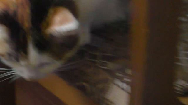 Моя новая видеокамера Panasonic HC V760 смотреть онлайн