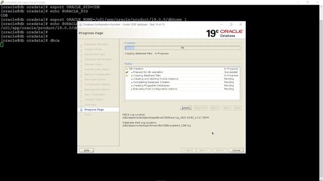 03 How to Use DBCA 19c to Create a CDB Database смотреть онлайн