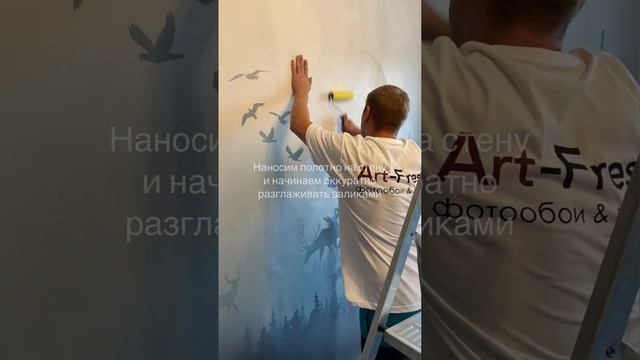 Инструкция по монтажу бесшовных фотообоев и фресок ArtFresco смотреть онлайн