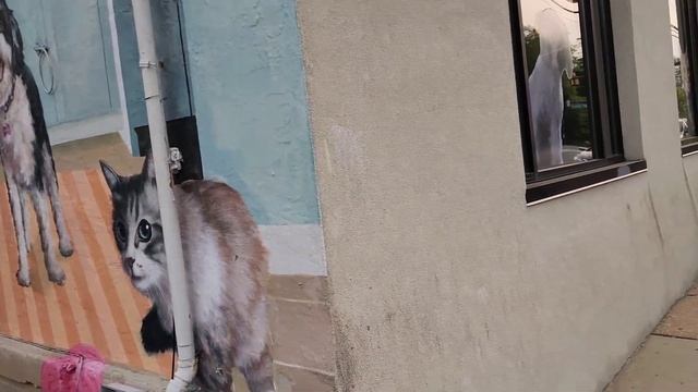 Распаковка из магазина Shein. Тренировка по боксу и джиу джитсу. смотреть онлайн