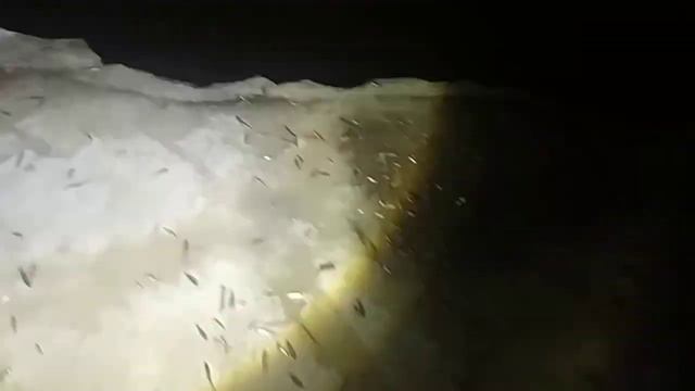 замор смотреть онлайн