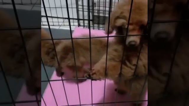 VID 31480413 055056 647 смотреть онлайн