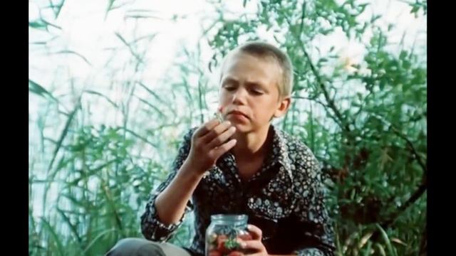 Я подозвал коня Конь мой узнал меня Пацаны смотреть онлайн