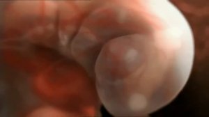 Как происходит зачатие ребенка фантастическое видео