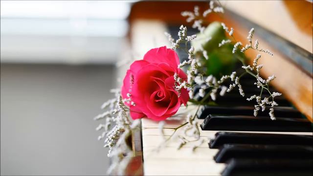 красивая музыка relax music piano 01 музыка пианино смотреть онлайн