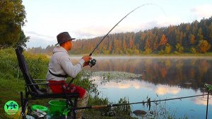 РЫБАЛКА с НОЧЕВКОЙ ПОШЛА НЕ ПО ПЛАНУ. Рыбалка на фидер 2024 в жару.