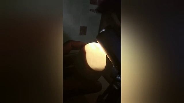 Наклёв гусиных яиц 27-28 день инкубирования ? смотреть онлайн