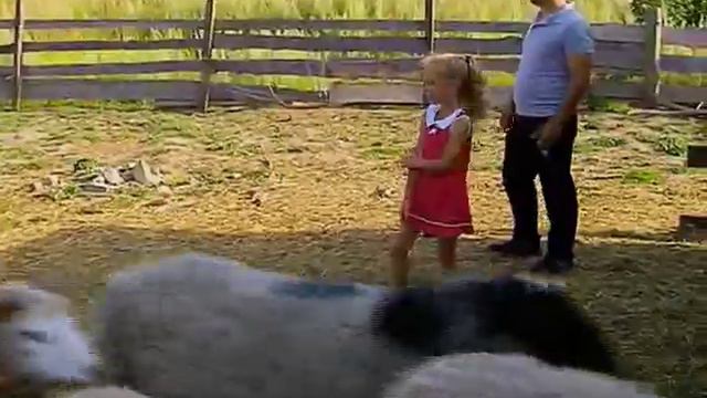 Сельское утро 20 09 смотреть онлайн