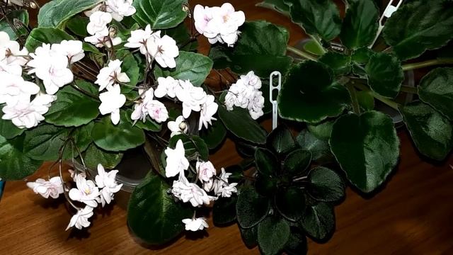 Место, главный ресурс, как его экономить? смотреть онлайн