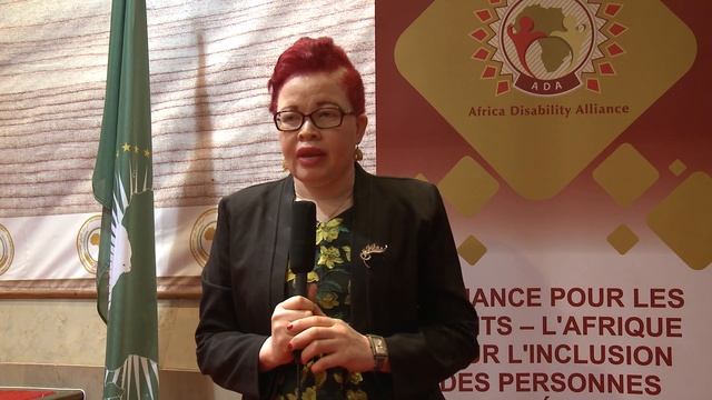 Stakeholders react to progress made in development of the Model Disability Law смотреть онлайн