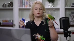 ШЛЕЙКА ДЛЯ ПОПУГАЕВ | КАК ОДЕВАТЬ ШЛЕЙКУ И СТОИТ ЛИ В ШЛЕЙКЕ ВЫГУЛИВАТЬ ПОПУГАЯ НА УЛИЦЕ