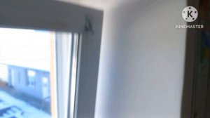 Вентиляция для пластиковых окон: почему это важно и какую выбрать?