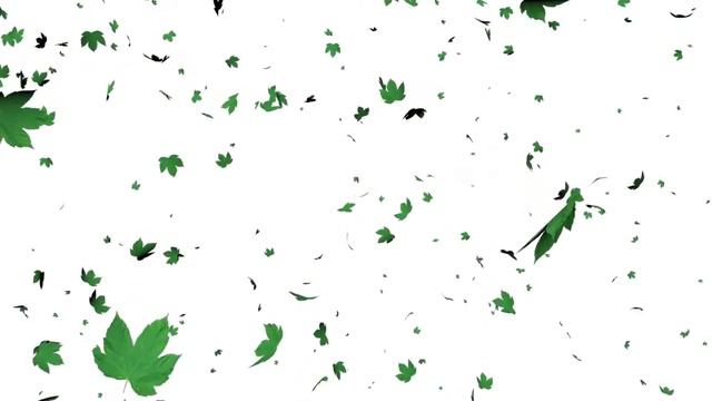 Leaves Falling Down | White Screen Effect | #white Screen Effect | #creative Common | #free Downloa