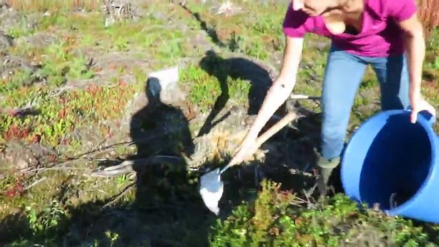 Работа в Финляндии ✈ Garant Work смотреть онлайн