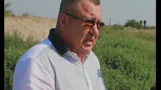 Мелитополь Приют для животных смотреть онлайн