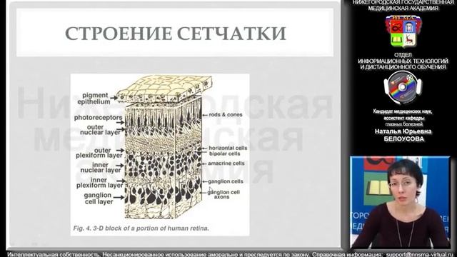 Анатомия зрительного пути. Топическая диагностика симптомов поражения зрительного пути. Демо-версия смотреть онлайн